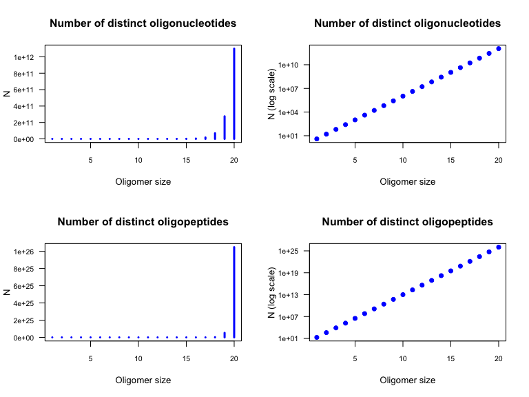 Number of possible oligonucleotides (top) and oligopeptides (bottom) with either a linear (left) and logarithmic (right) scale for the ordinate.