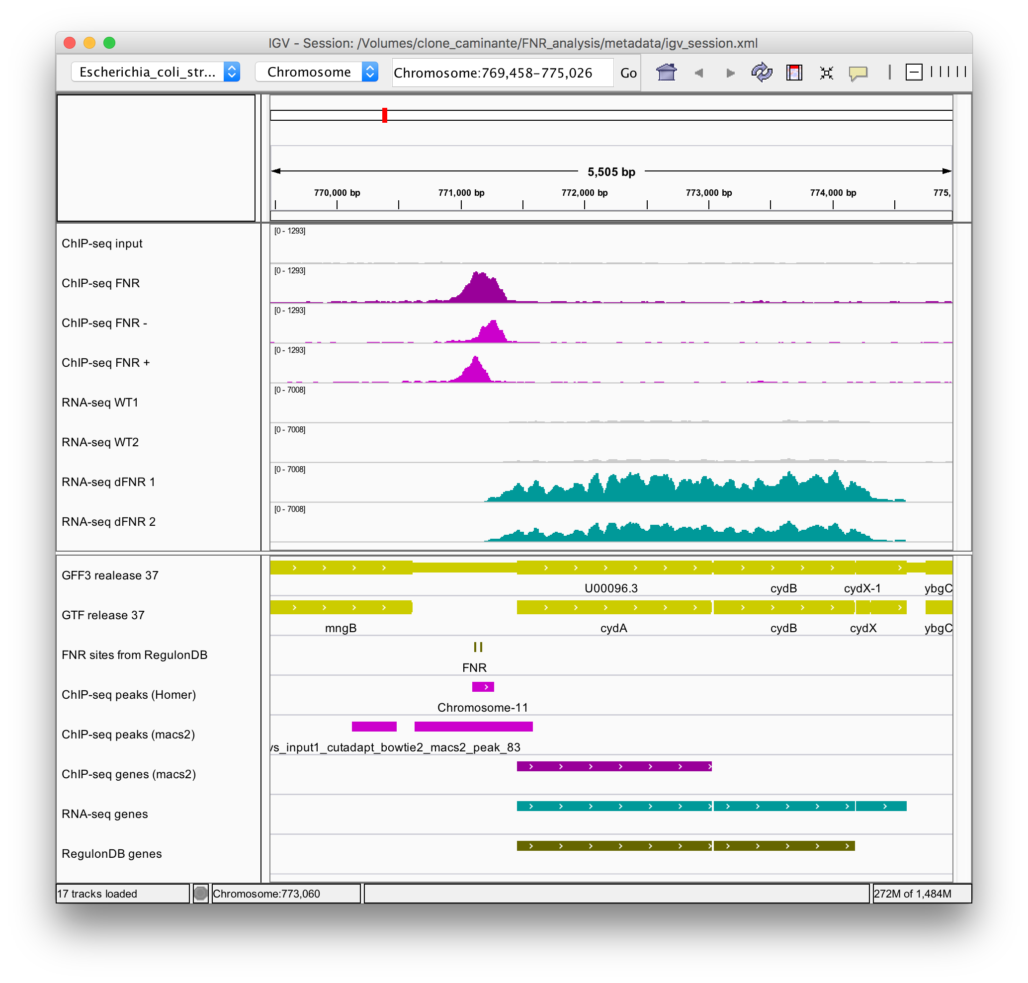 Analyse NGS de la régulation par FNR chez E. coli. Haut : Profil de couverture des reads alignés sur le génome de *E.coli* dans une expérience de ChIP-seq (pourpre), de RNA-seq chez une souche sauvage (gris) et mutante pour FNR (jade). Bas : gènes annotés, pics de  ChIP-seq, gènes différentiellement exprimés (RNA-seq). 